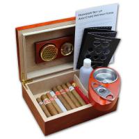Beginner Compendium Humidor - The Starter Pack Cigar Selection